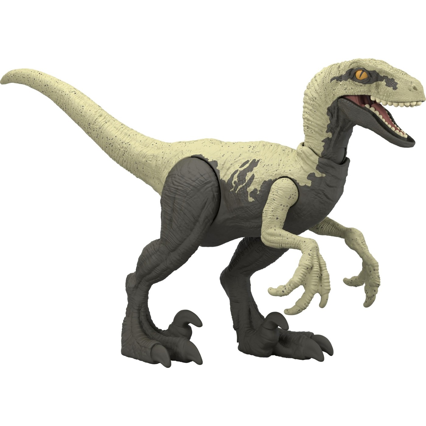 Mattel Jurassic World Βασική Φιγούρα Δεινόσαυρου Velociraptor (HLN49/HLN56)